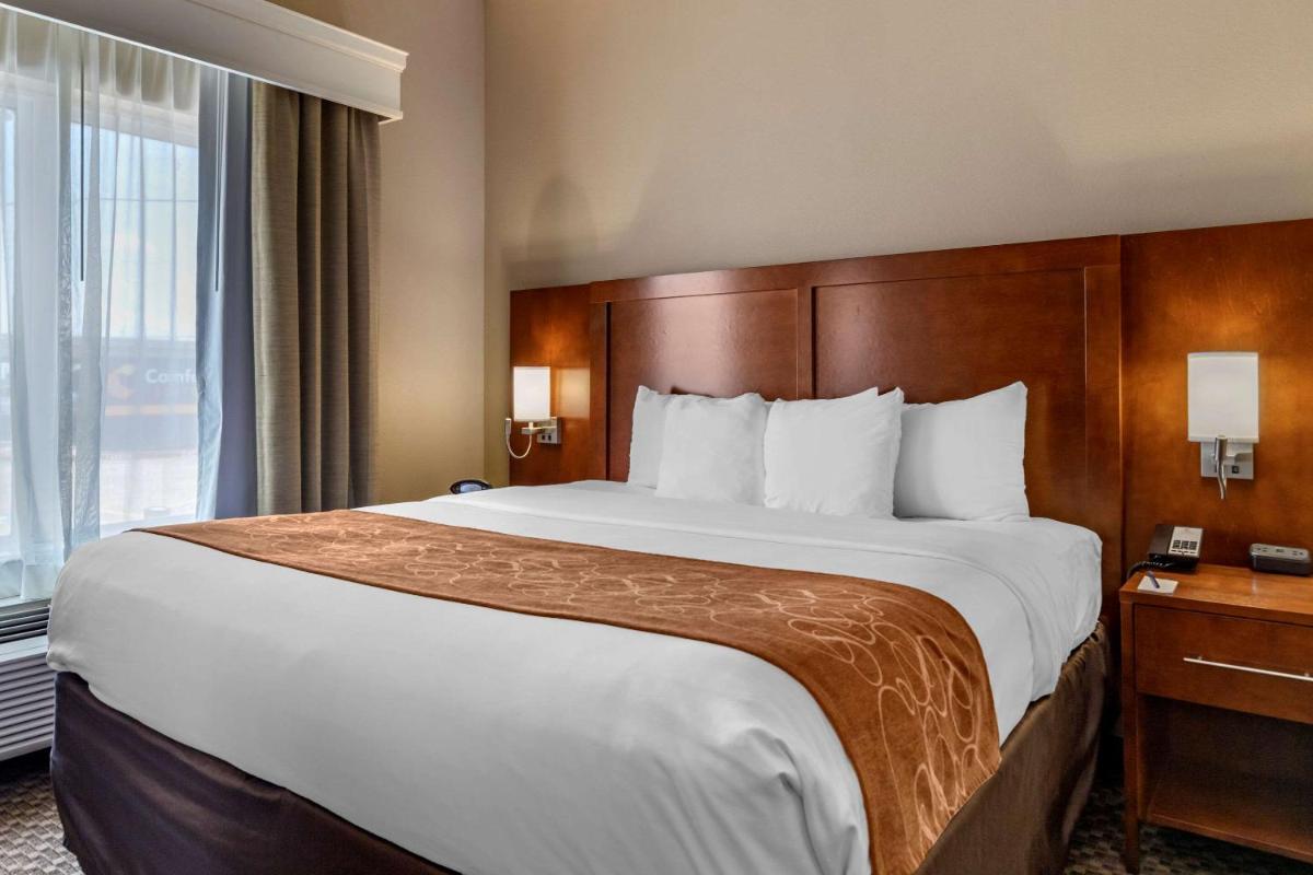 Comfort Suites Near Texas A&M Corpus Christi - image 2