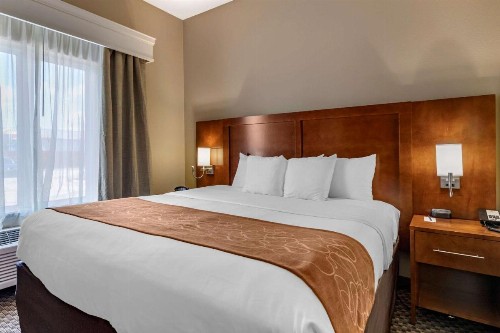 Comfort Suites Near Texas A&M Corpus Christi - image 22
