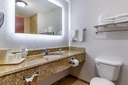 Comfort Suites Near Texas A&M Corpus Christi - image 26