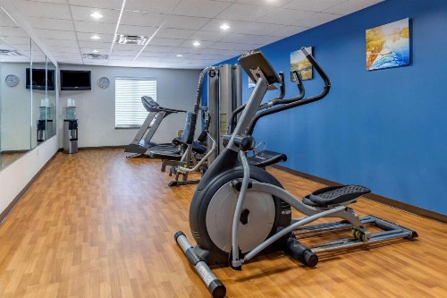 Comfort Suites Near Texas A&M Corpus Christi - image 5