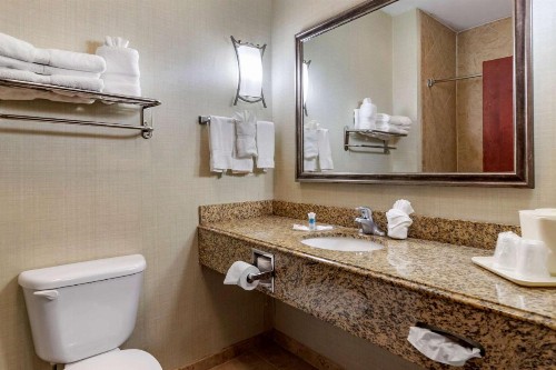 Comfort Suites Near Texas A&M Corpus Christi - image 7