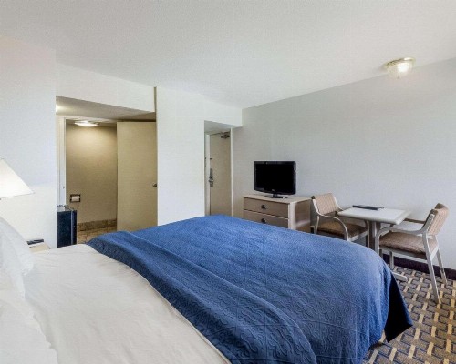 Quality Inn & Suites Corpus Christi - image 15