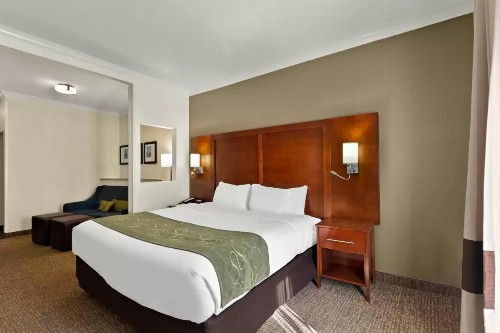 Comfort Suites Central - image 12
