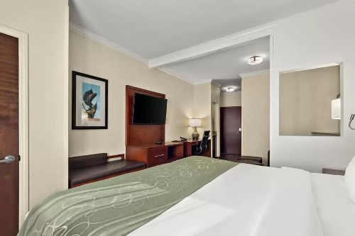 Comfort Suites Central - image 14