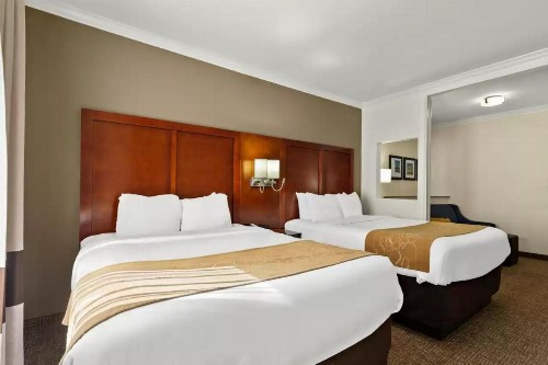 Comfort Suites Central - image 21
