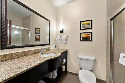 Comfort Suites Central - image 25