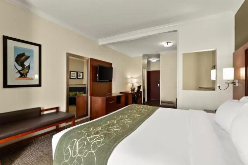 Comfort Suites Central - image 29