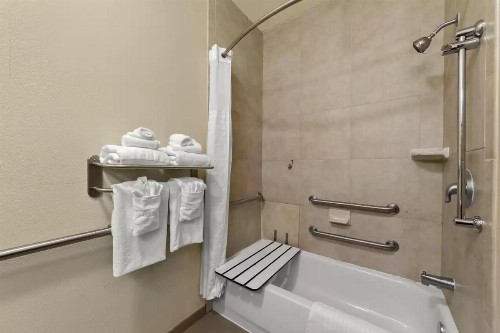 Comfort Suites Central - image 3