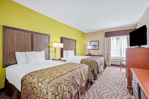 La Quinta by Wyndham Corpus Christi Airport - image 22