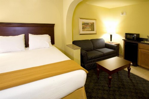 Holiday Inn Express Hotel & Suites Corpus Christi Northwest an IHG Hotel - image 2
