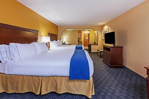 Holiday Inn Express Hotel & Suites Corpus Christi Northwest an IHG Hotel - image 40