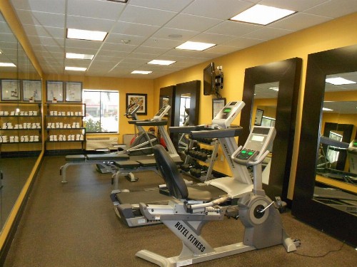 Holiday Inn Express & Suites Corpus Christi - North - image 26