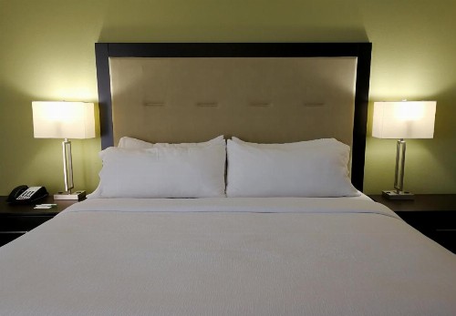 Holiday Inn Corpus Christi Downtown Marina an IHG Hotel - image 20