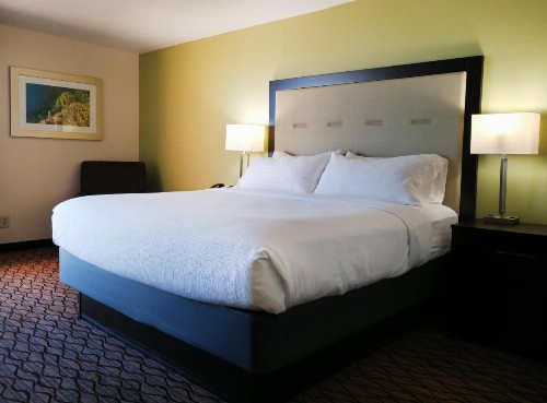 Holiday Inn Corpus Christi Downtown Marina an IHG Hotel - image 22