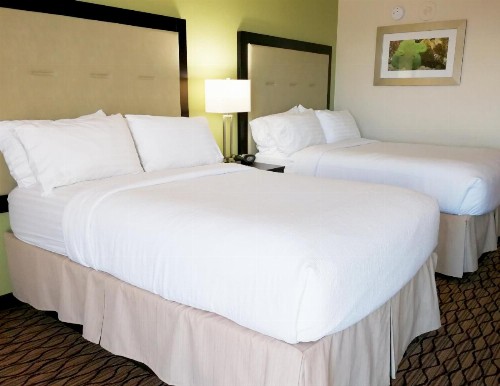 Holiday Inn Corpus Christi Downtown Marina an IHG Hotel - image 28