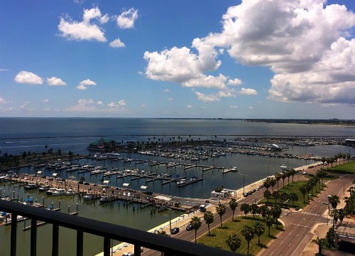 Holiday Inn Corpus Christi Downtown Marina an IHG Hotel - image 36