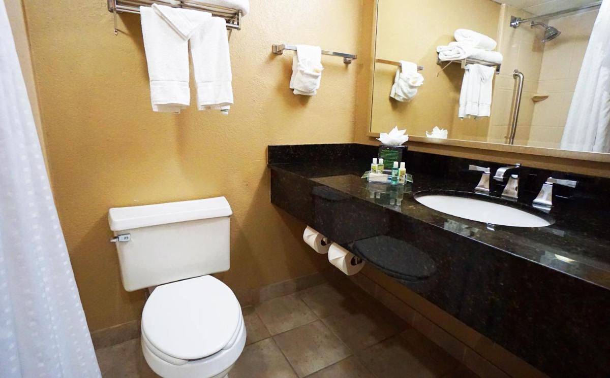 Holiday Inn Corpus Christi Downtown Marina an IHG Hotel - image 4