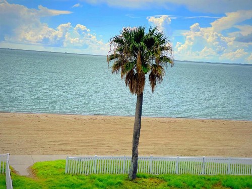 Sea Shell Inn Motel - image 15