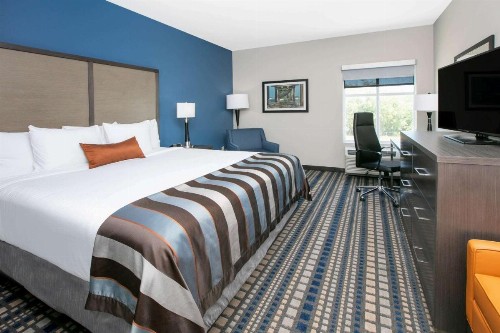 Wingate by Wyndham Corpus Christi - image 29
