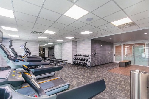 Fairfield Inn & Suites by Marriott Corpus Christi Central - image 9