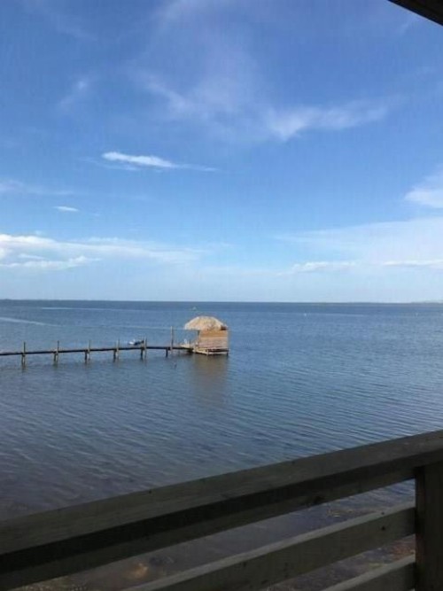 New 3/2! Private fishing pier and Marina! Waterfront Pool! AMAZING Views - image 7