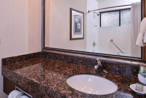 Best Western Corte Madera Inn - image 46