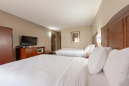 Quality Inn - image 10