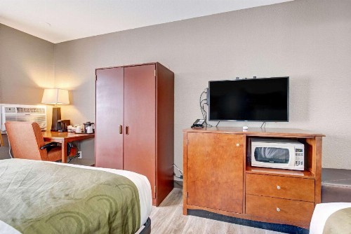 Quality Inn - image 16