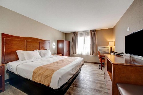 Quality Inn - image 2
