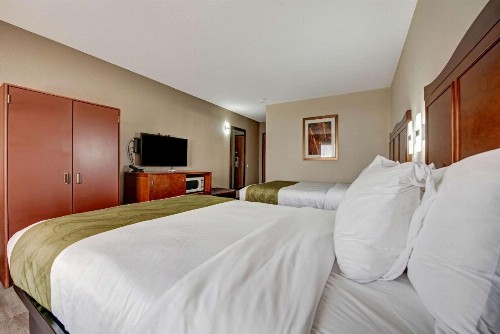 Quality Inn - image 37
