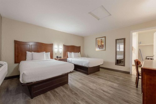 Quality Inn - image 46