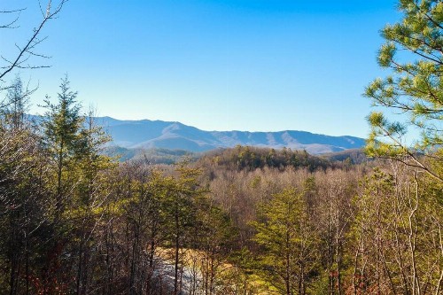 Country Bear Hideaway