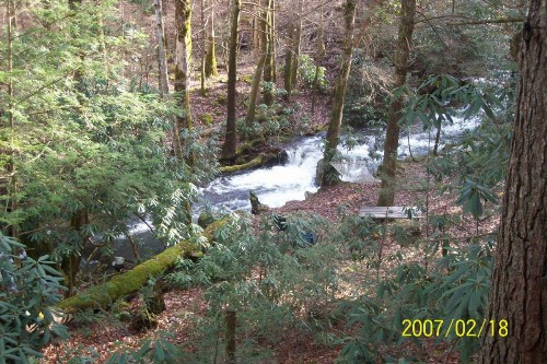 Garden of Eden Cabins - image 11