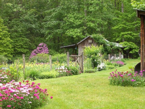 Garden of Eden Cabins - image 16