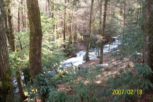 Garden of Eden Cabins - image 6