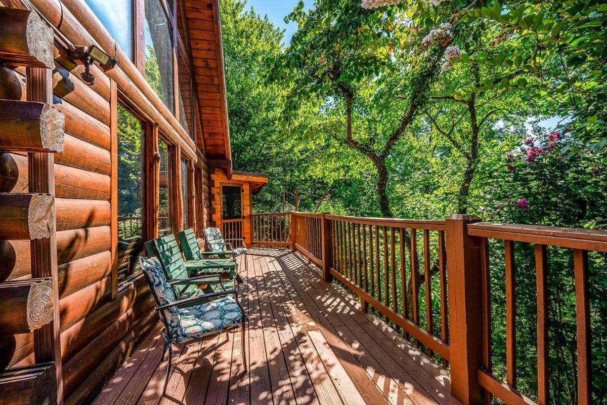 Mountain Overlook Way Cabin 3403 - image 7