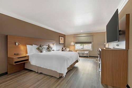 Best Western Plus Newport Mesa Inn - image 32