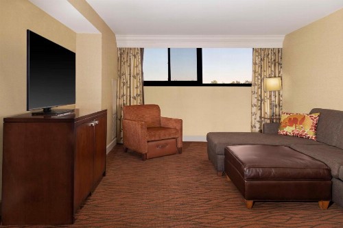 Hilton Orange County/Costa Mesa - image 18