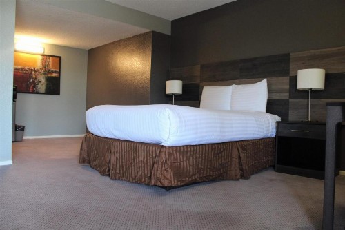 Cozy Inn - image 10