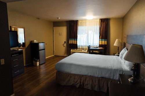 Cozy Inn - image 17