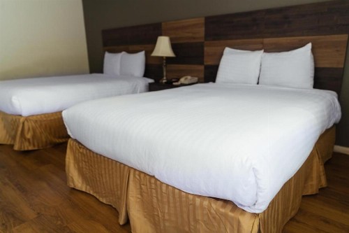 Cozy Inn - image 7