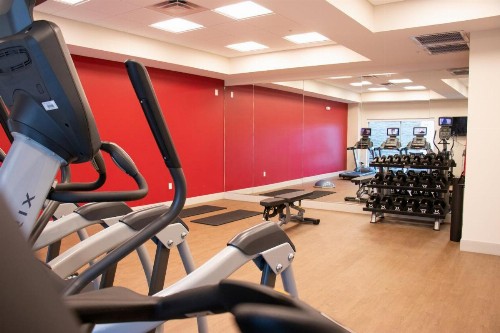 Holiday Inn Express and Suites Tuscaloosa East Cottondale - image 15