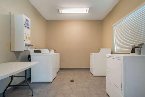 Best Western Wakulla Inn & Suites - image 2