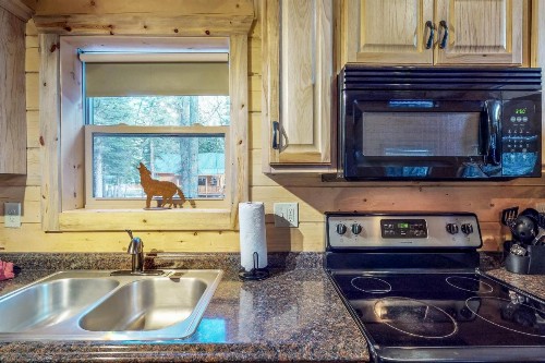 Coyote - image 6
