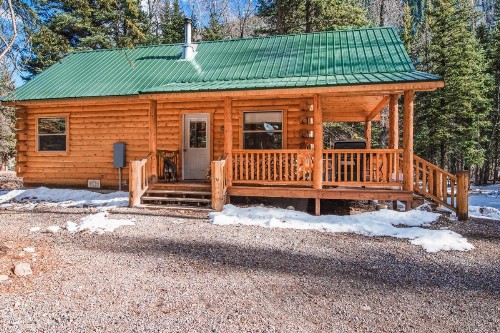 Moose - image 8