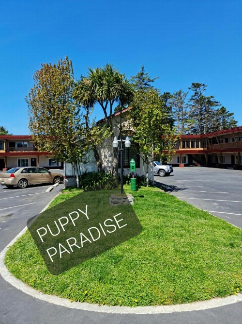 North Coast Inn - image 4