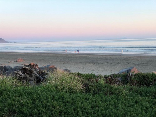 Crescent Beach Motel - image 13