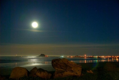 Crescent Beach Motel - image 25