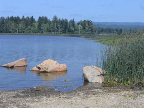Lakeside Hostel & Guest House - image 6