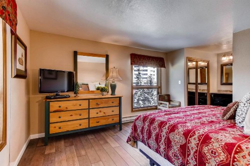 Crested Butte Mountain Resort Properties - image 18